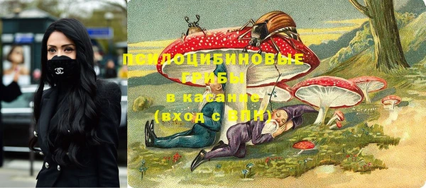 прущие крисы Кулебаки