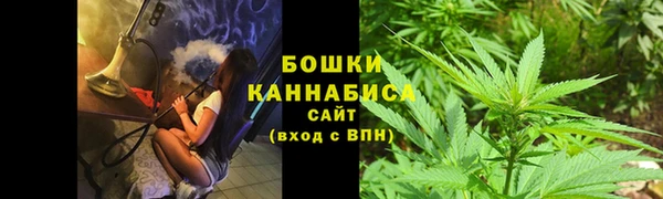 крисы Киров