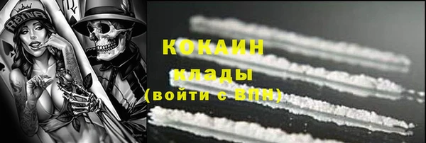 прущие крисы Кулебаки