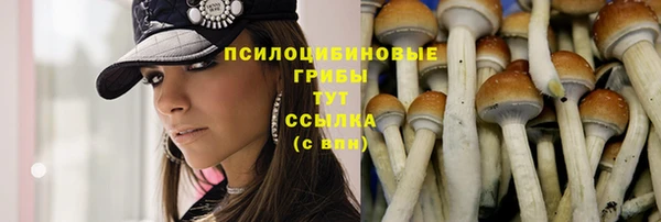 каннабис Куйбышев