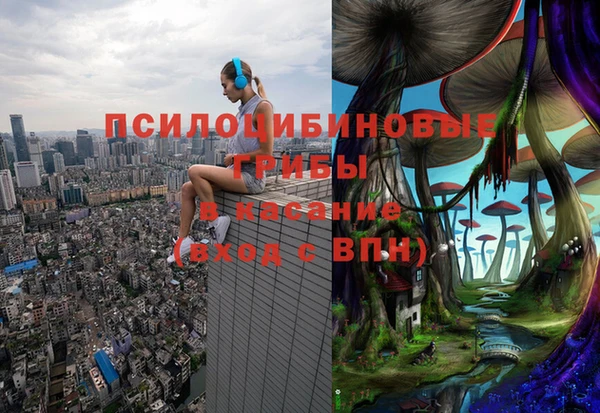 прущие крисы Кулебаки