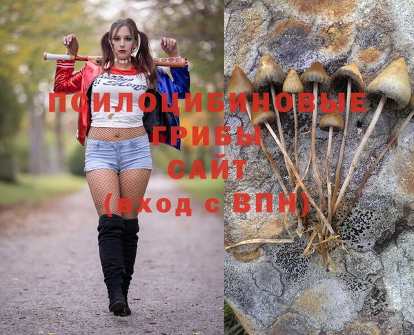 прущие крисы Кулебаки