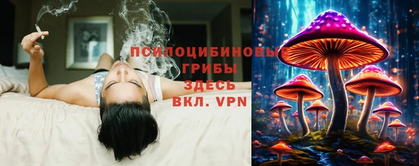 прущие крисы Кулебаки