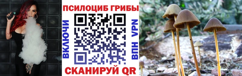 Галлюциногенные грибы прущие грибы  Усть-Джегута 